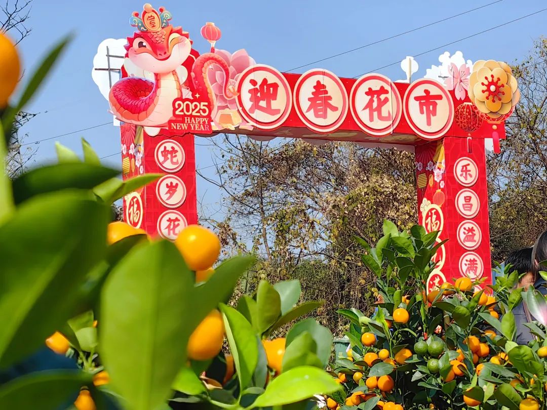 轉(zhuǎn)存圖片