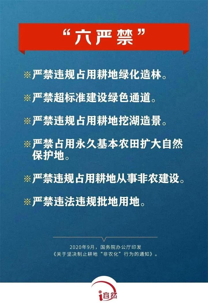 六嚴禁_proc.jpg
