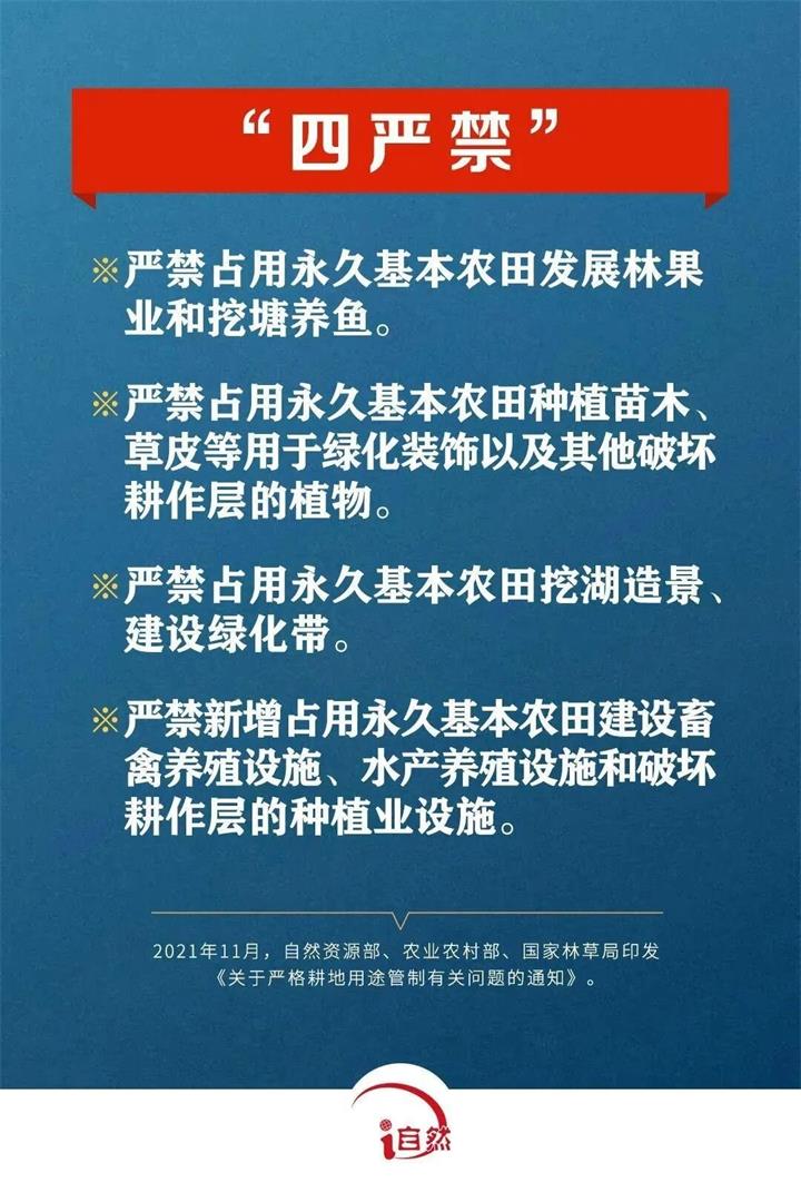 四嚴禁_proc.jpg