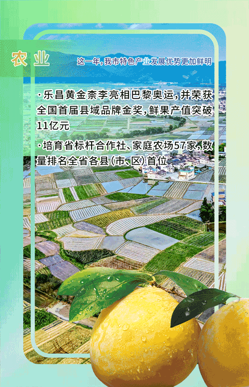 24農(nóng)業(yè).gif